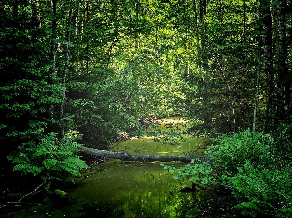 Photograph by Epp Tappel