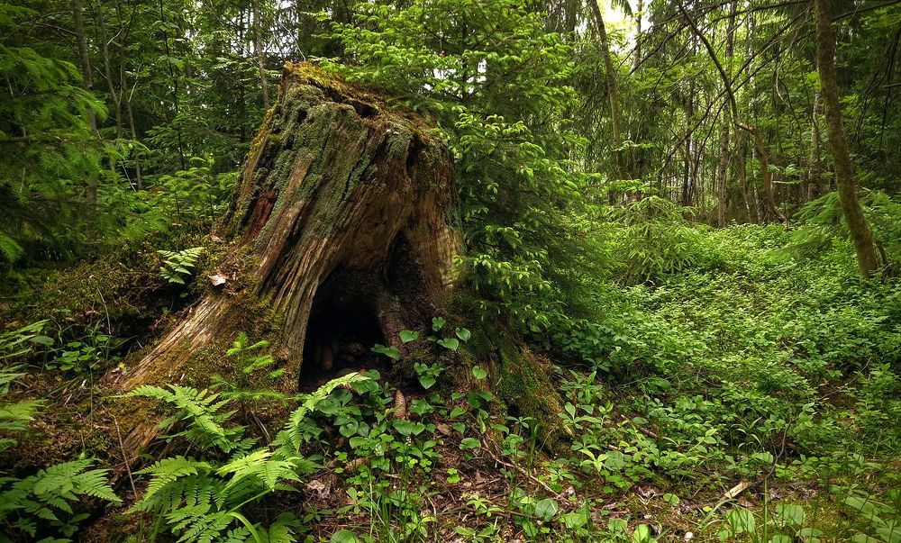 Photograph by Epp Tappel