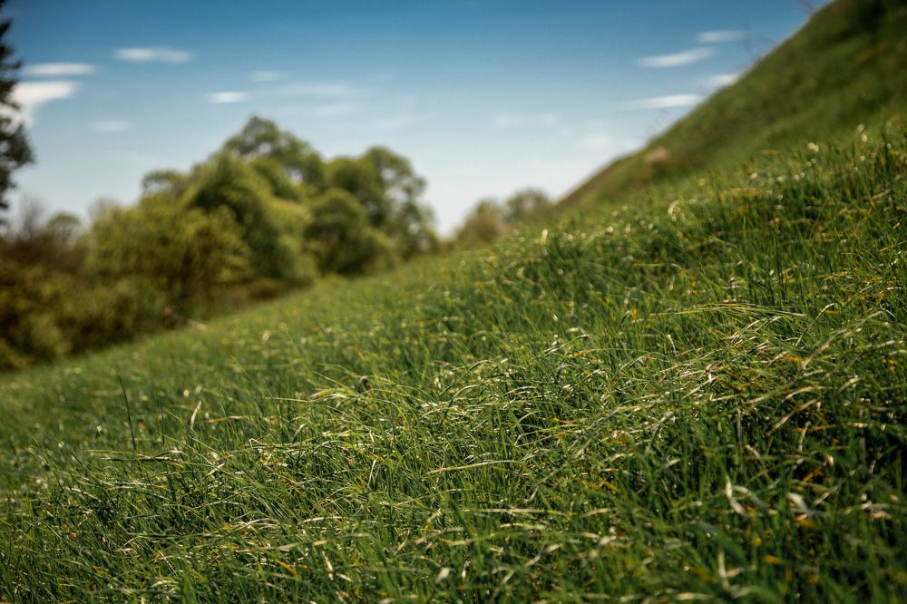 Фотография автора Юлия Малютина