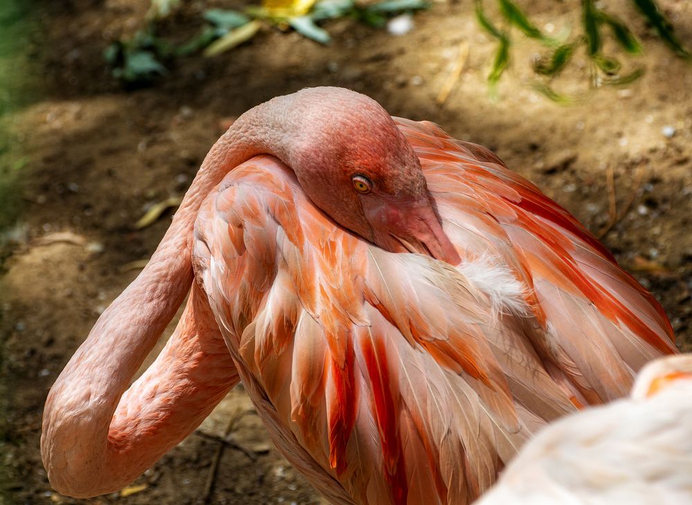 Photograph by Татьяна Зема