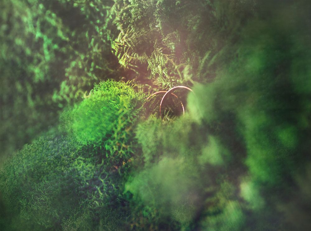 Photograph by Буданова Мария