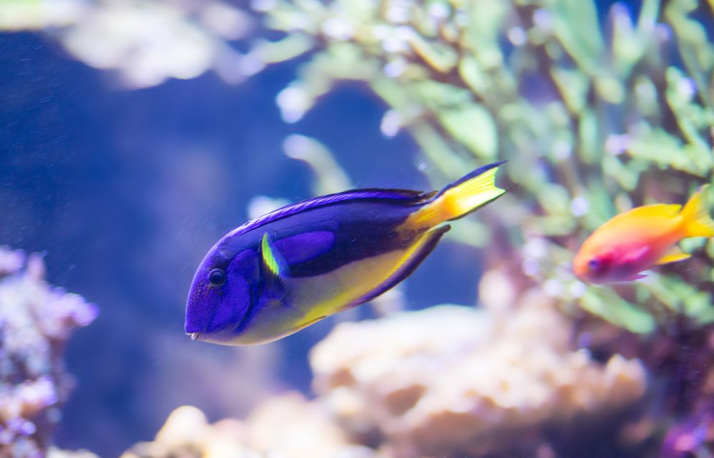 Photograph by Анна Малютина