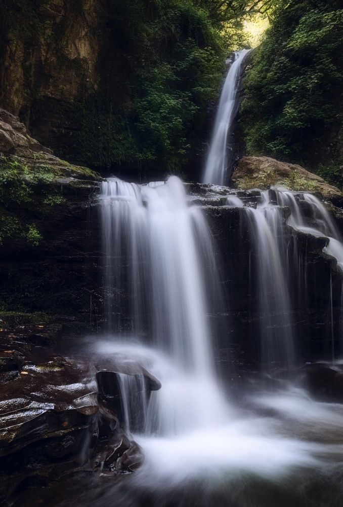 Photograph by Mamdouhi Saeed