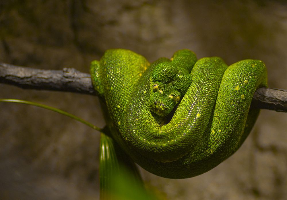 Photograph by Анна Малютина