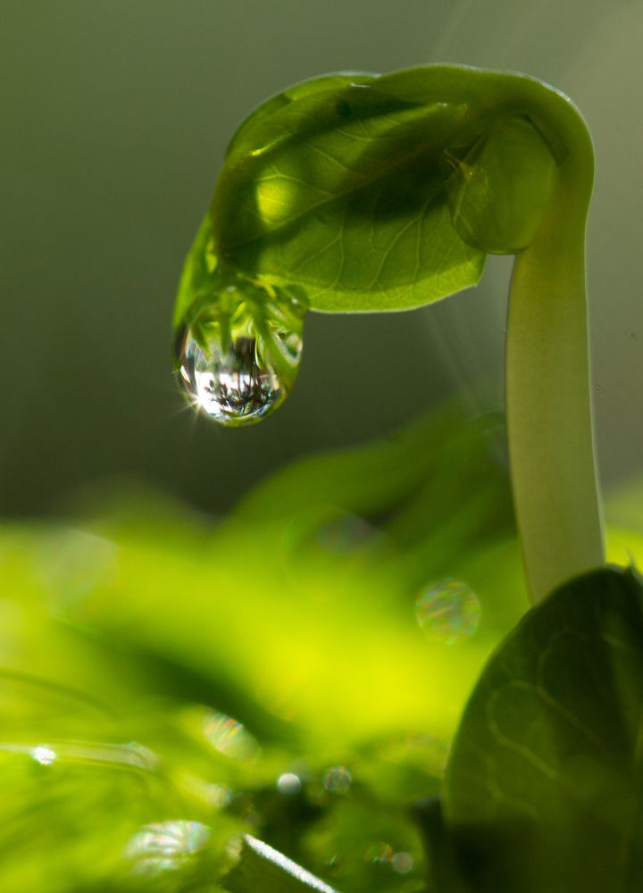 Photograph by Анна Малютина