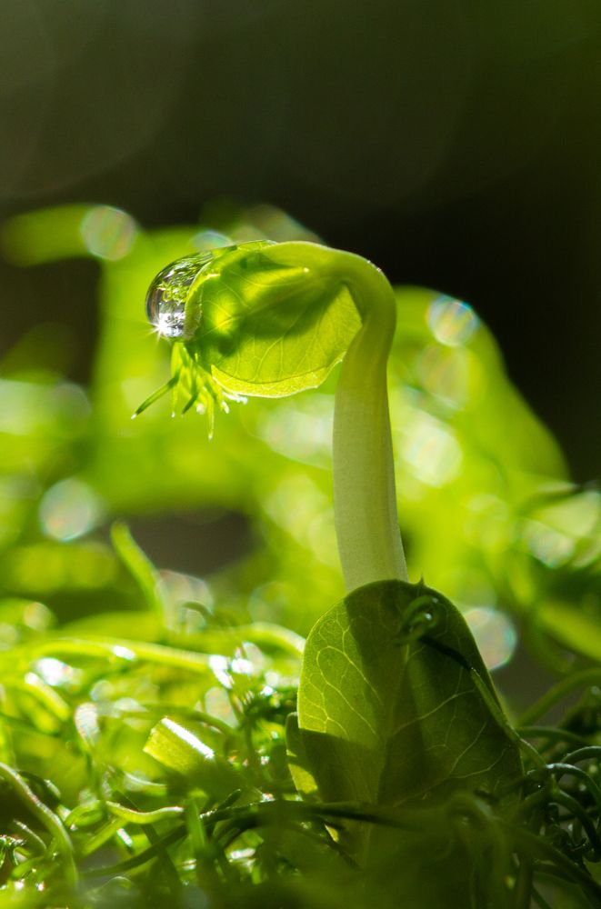 Photograph by Анна Малютина