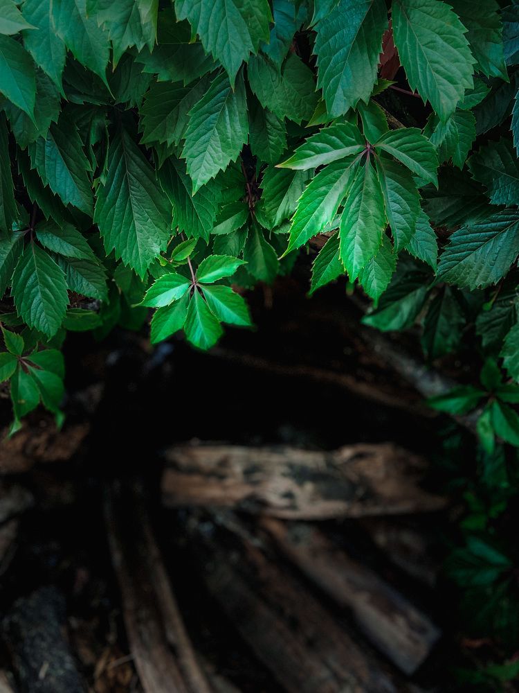 Photograph by Катерина