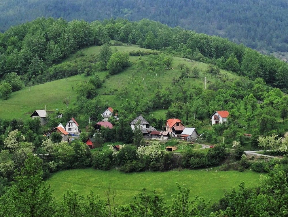 Photograph by Марина Раткун