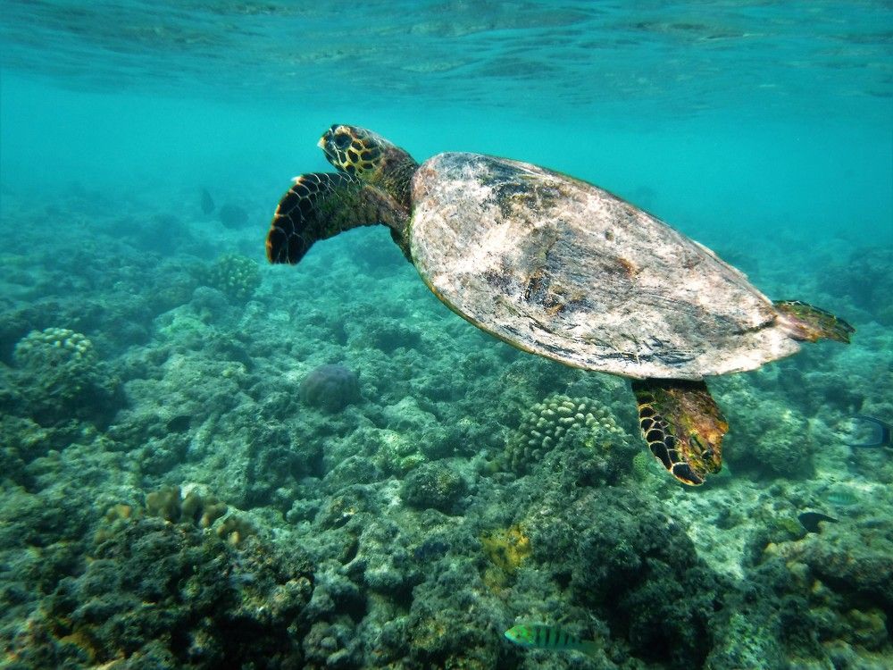 Photograph by Максимушкина Ольга