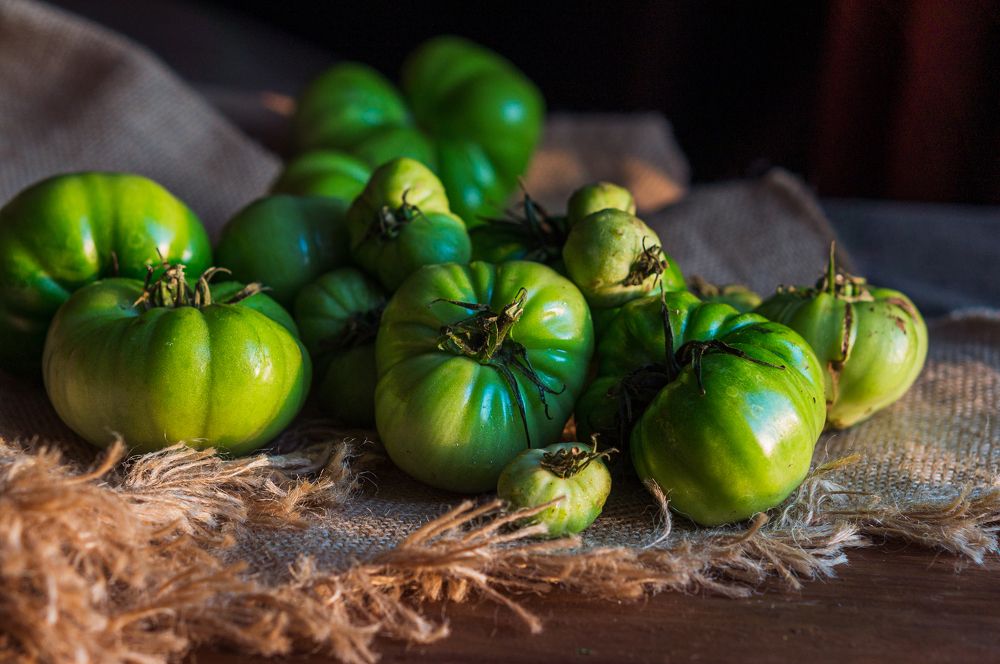 Photograph by Светлана Нестерова