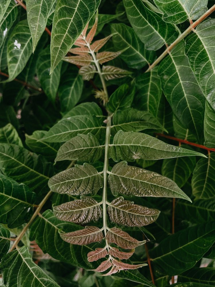 Фотография автора Oxana Yurasova