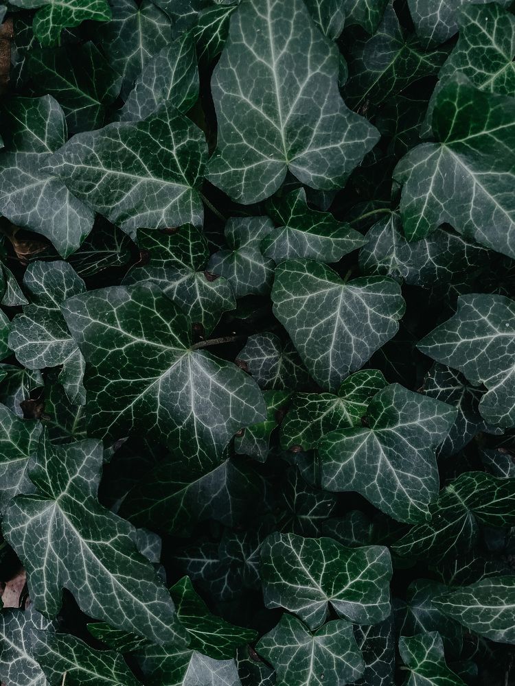 Фотография автора Oxana Yurasova