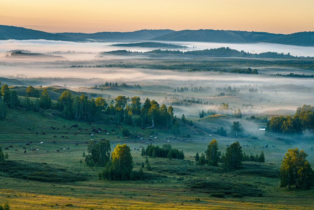 Photograph by Илья Яблонко