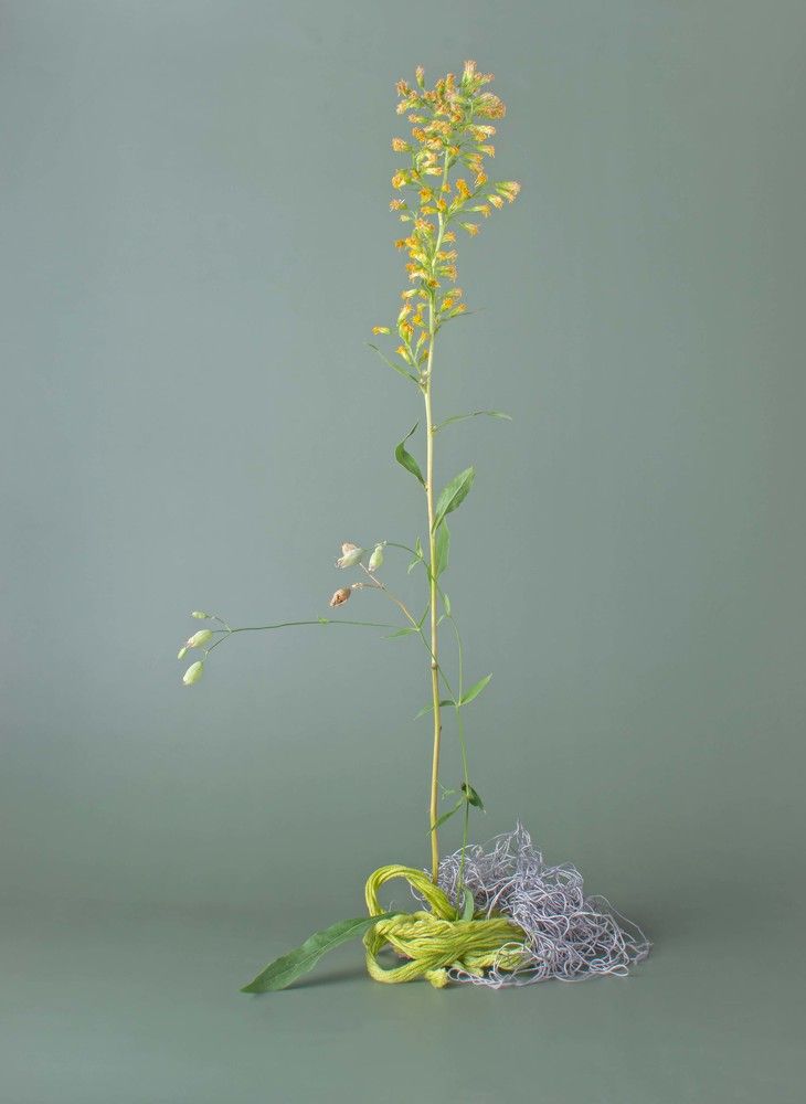 Photograph by Елена Кулыгина