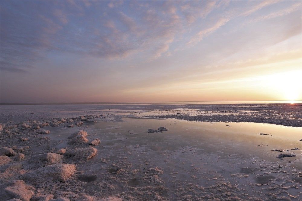 Photograph by Максимушкина Ольга