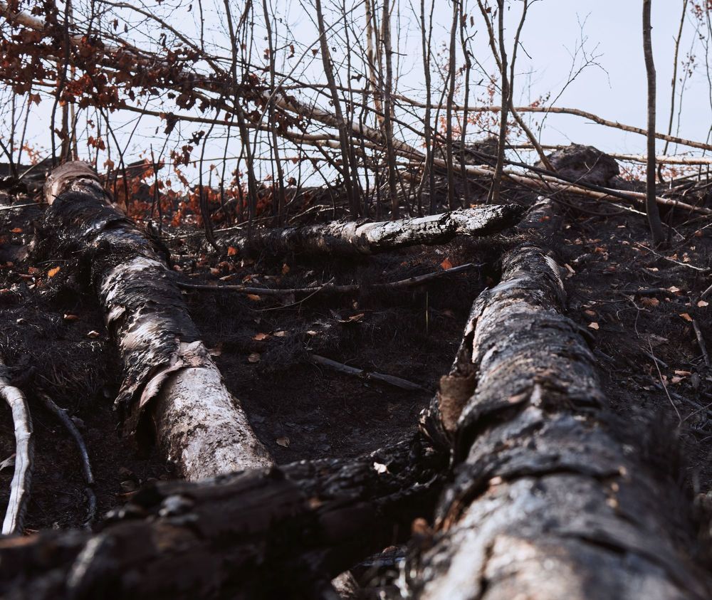 Photograph by Сергей Ветошкин