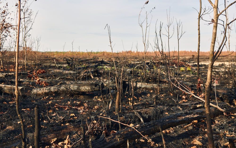 Photograph by Сергей Ветошкин