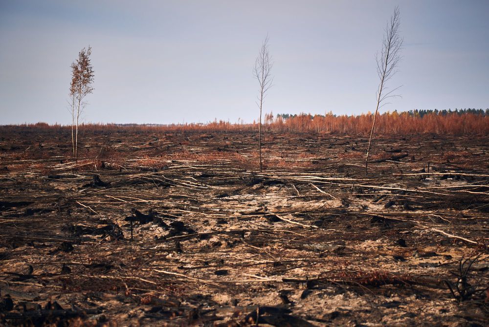 Photograph by Сергей Ветошкин