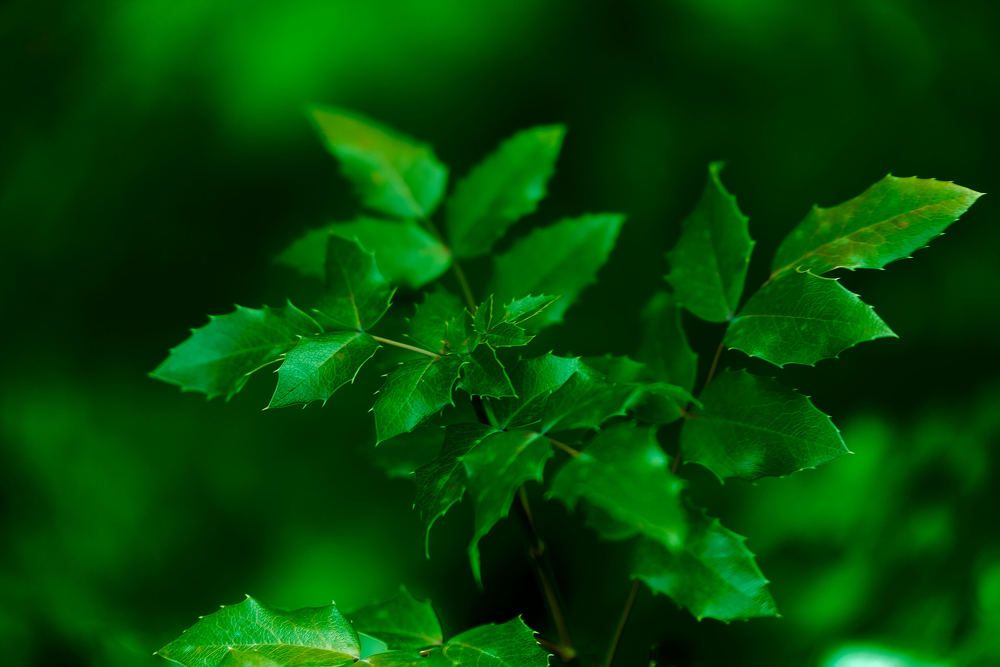 Photograph by Андрей Халемонец