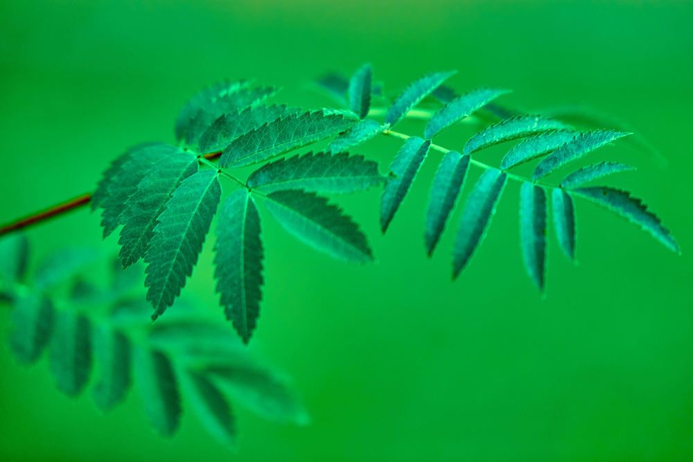 Photograph by Андрей Халемонец