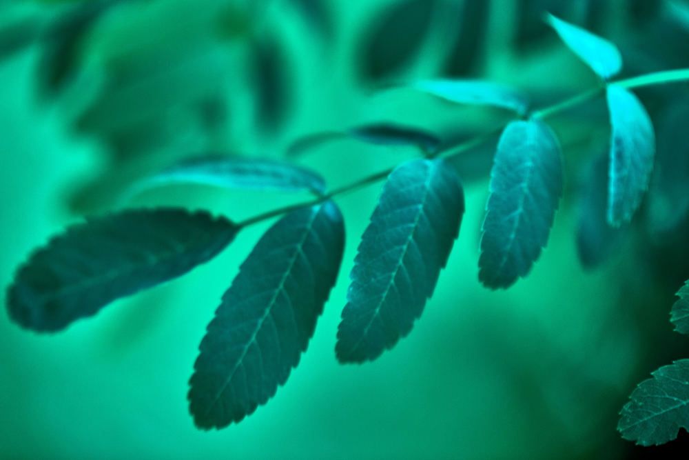 Photograph by Андрей Халемонец