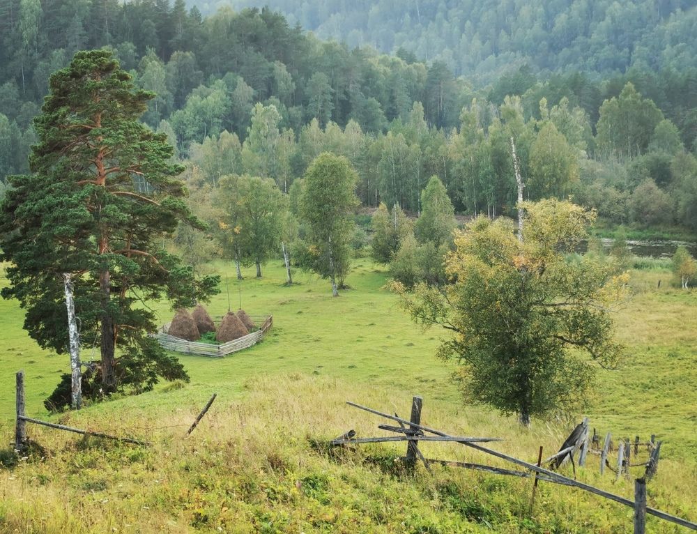 Photograph by Анастасия Прейс