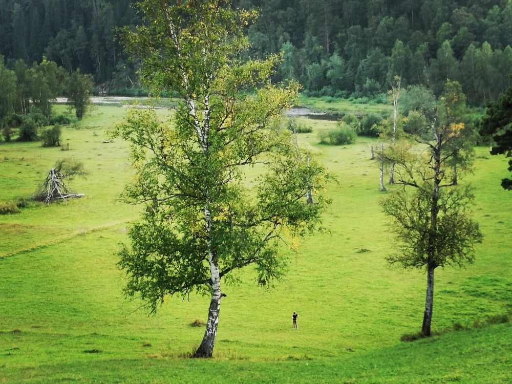 Photograph by Анастасия Прейс