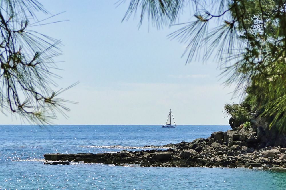 Белеет мой парус...