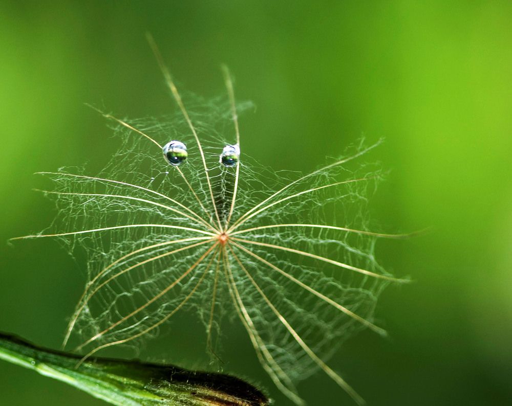 Весёлый парашютик