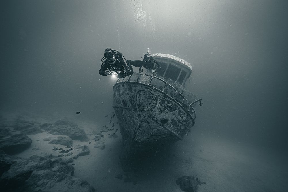 Photograph by Плотников Дмитрий