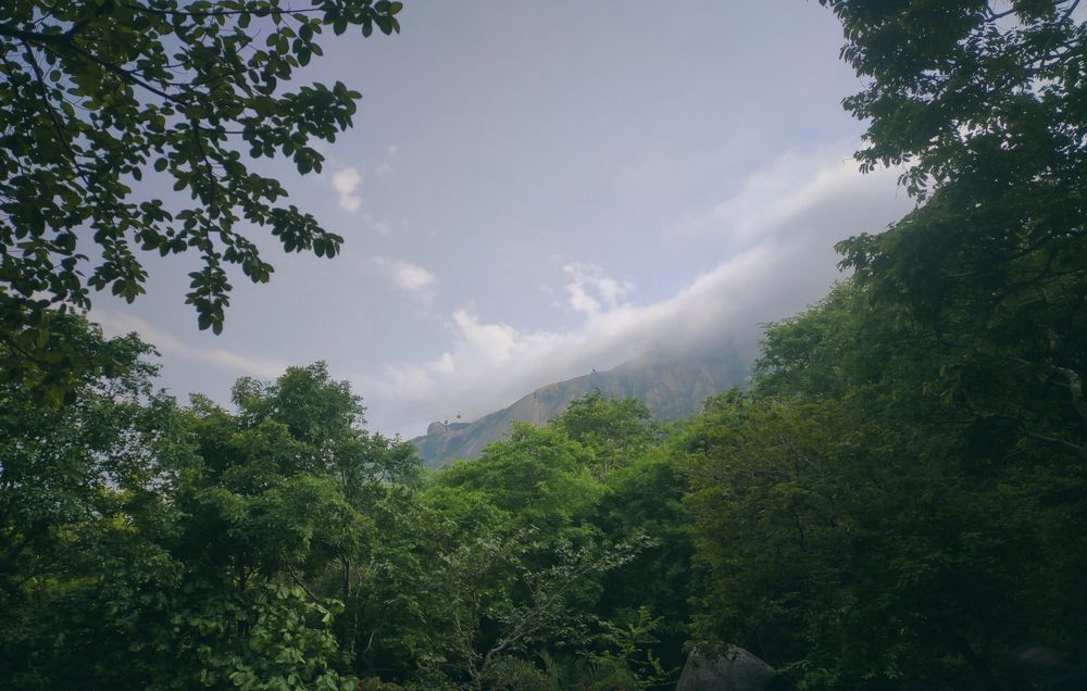 Where The Green Is Untouched