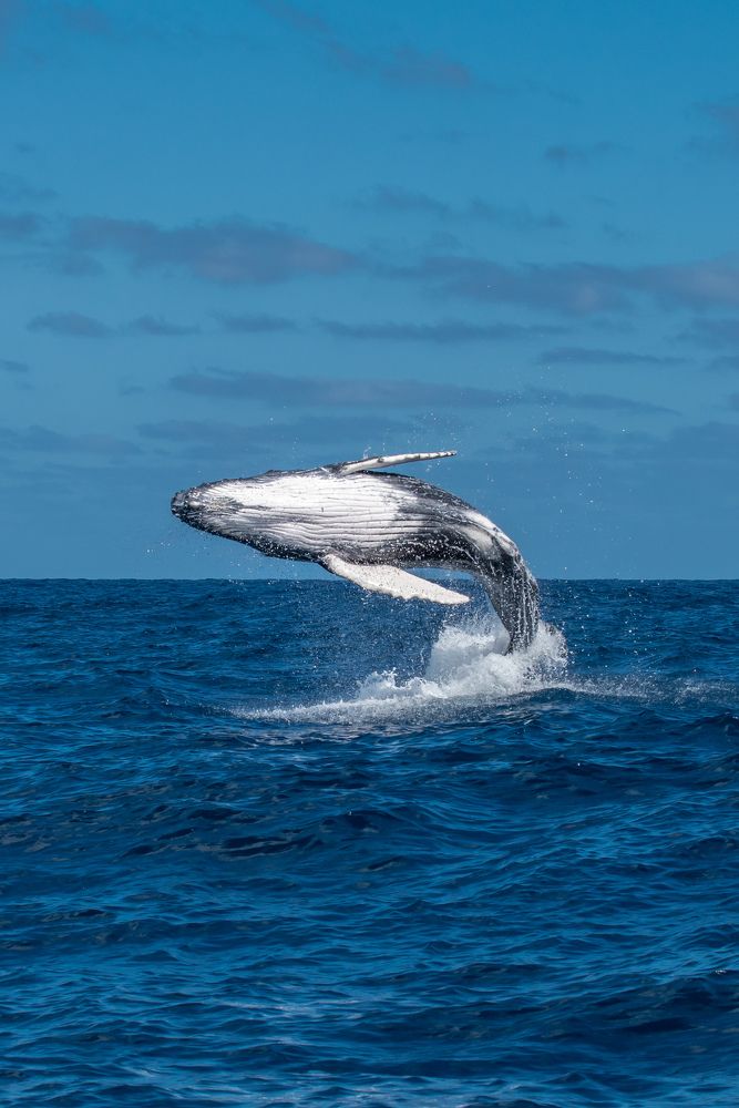 Photograph by Valentina Cucchiara