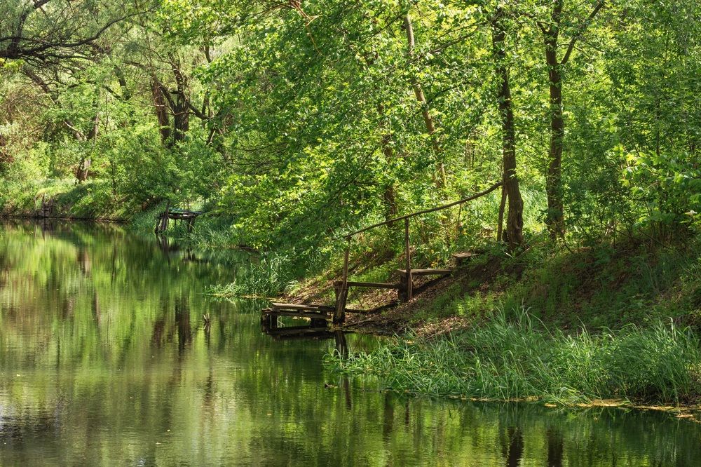 Берега Лугани