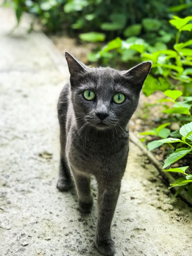 Photograph by Григорий Лыжин