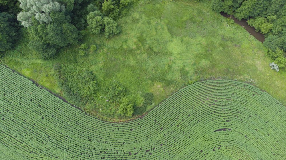 Фотография автора Потоцкий Вячеслав