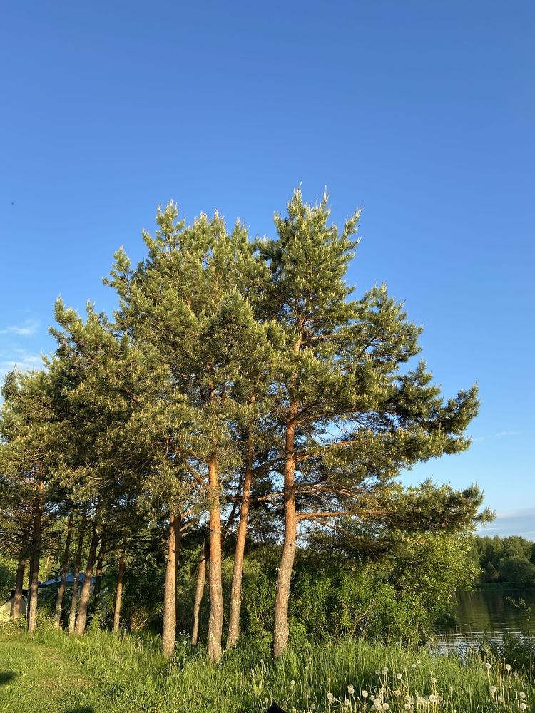 Photograph by Юлия Зеленева