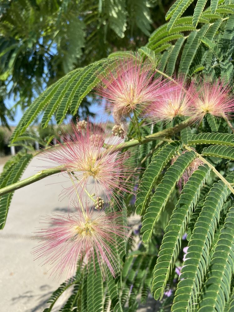 Photograph by Юлия Зеленева