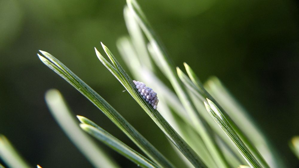 Photograph by Алексей Чернов