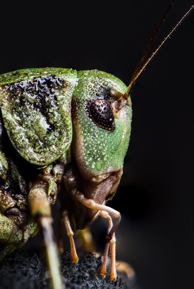 Photograph by Масленников Сергей