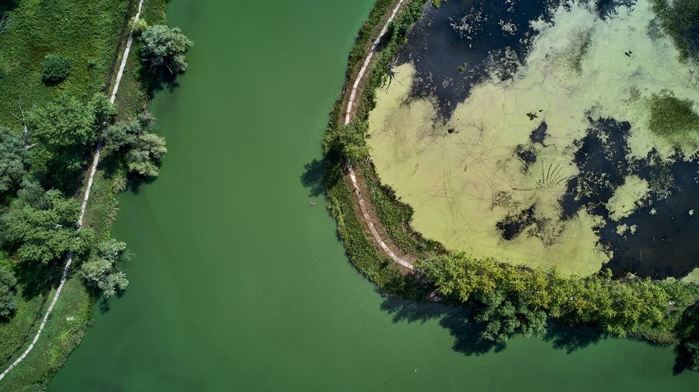 Фотография автора Игорь Игоревич