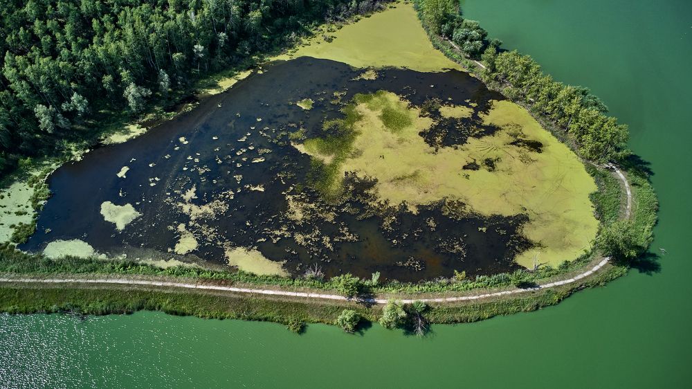 Фотография автора Игорь Игоревич