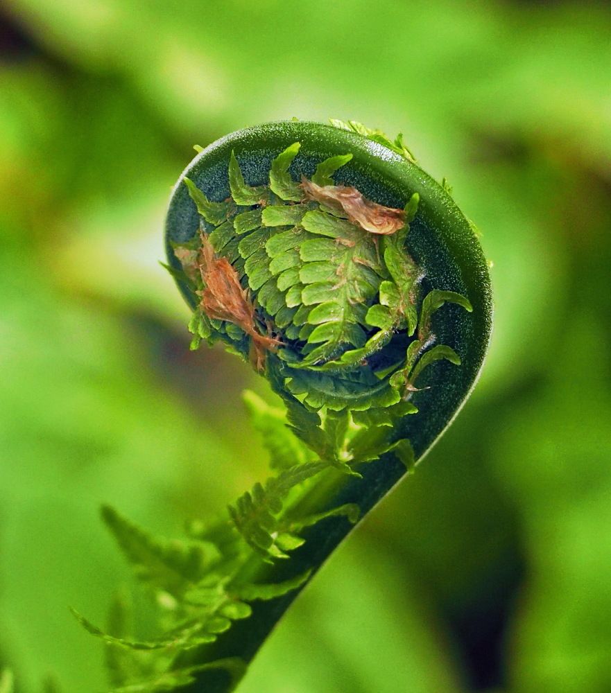 Photograph by Tatyana Markova