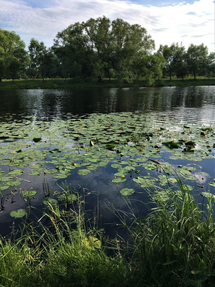 Photograph by Долгушева Татьяна