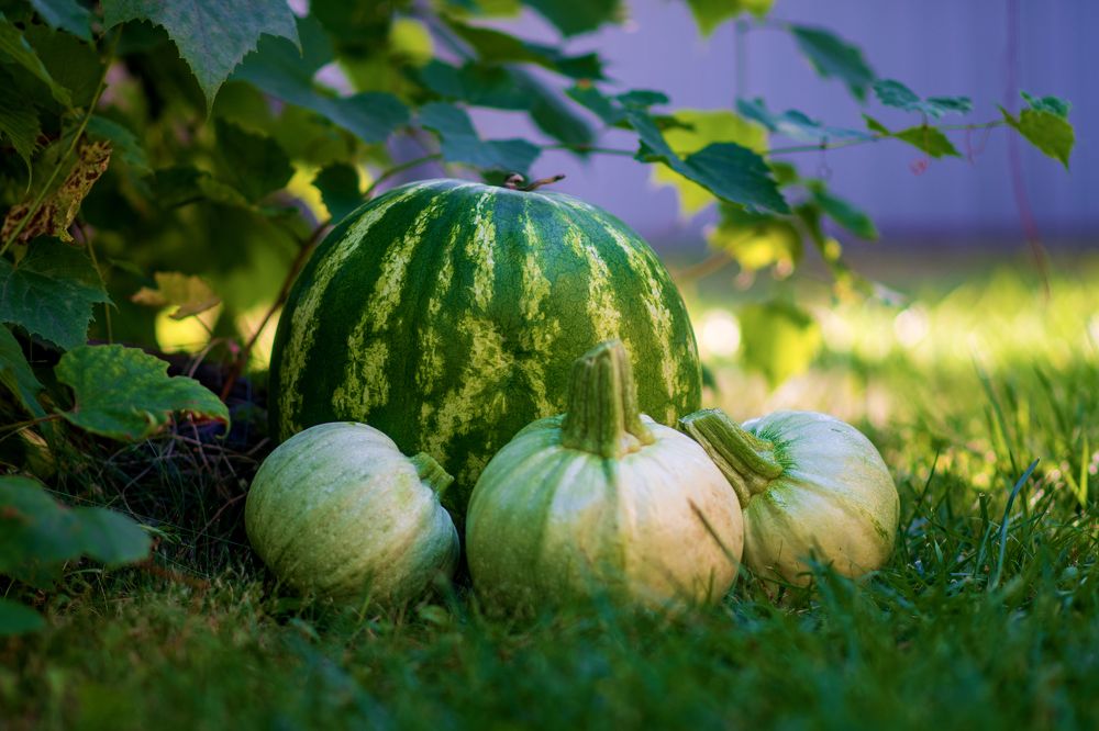 Photograph by Демьян Лопатов