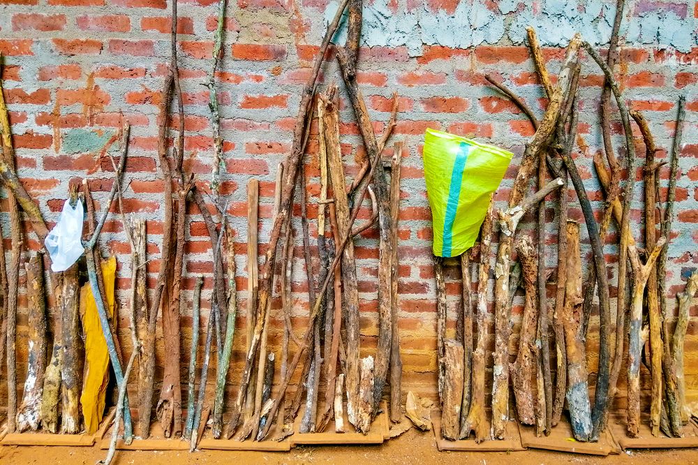 Фотография автора Pallegama Gamage Ruwan Sampath