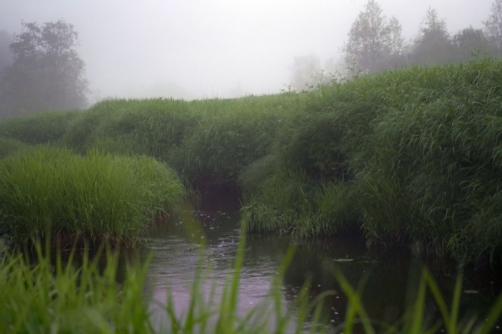 Photograph by Елена Копейкина