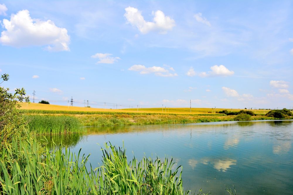 Photograph by Мария Опритова