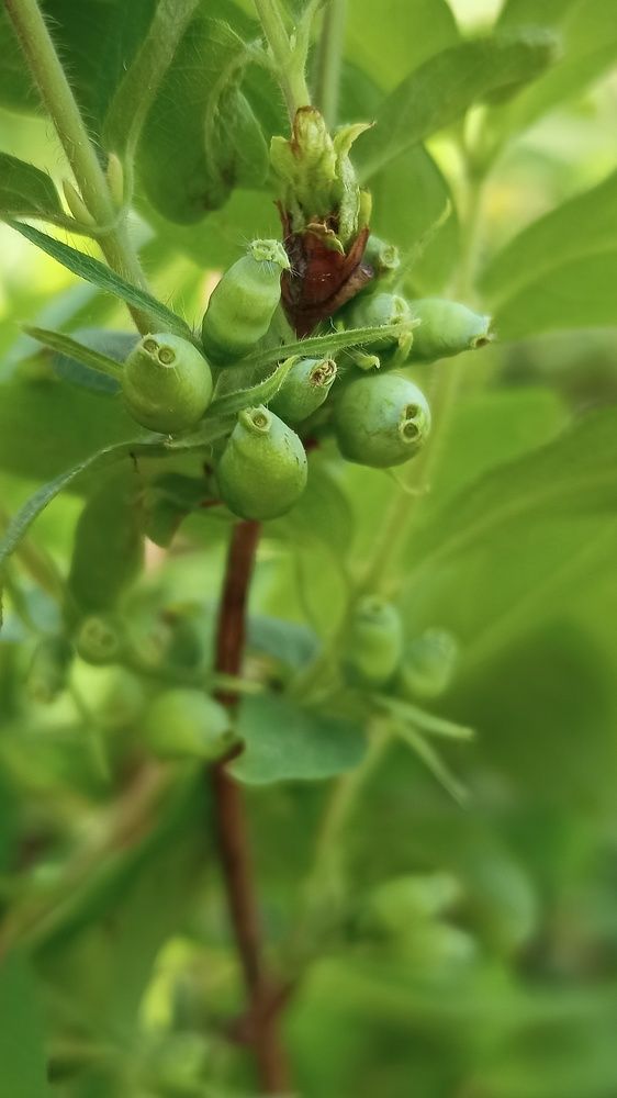 Photograph by Ольга Рогозина