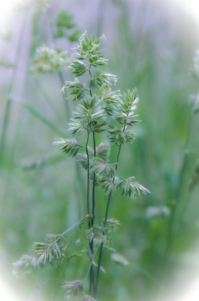 Фотография автора Hovhannes Nersisyan