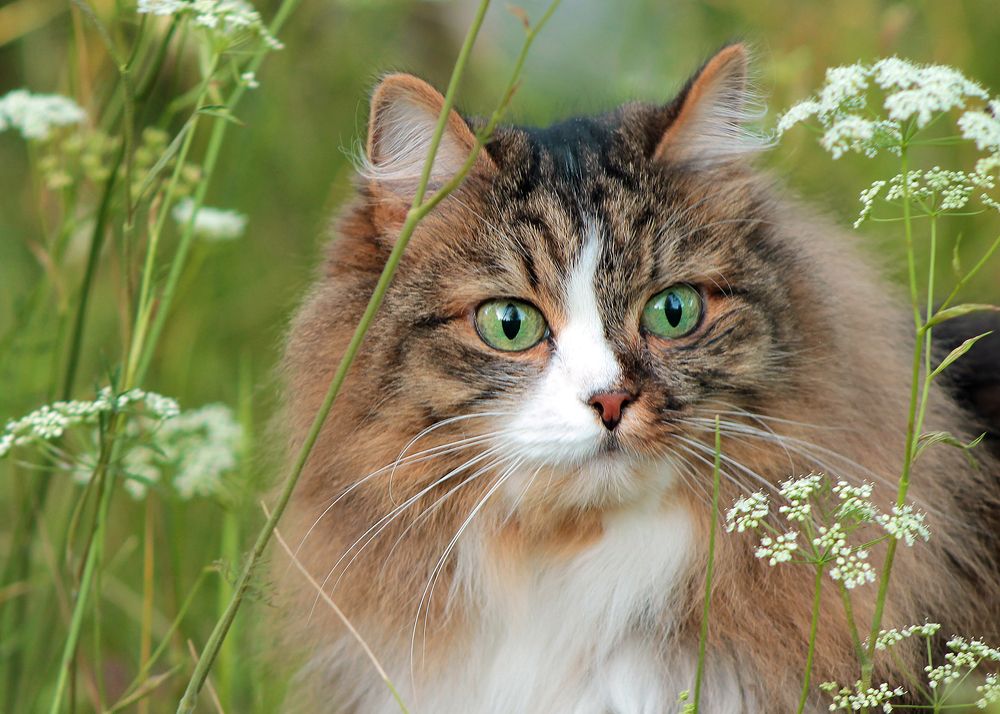 Photograph by Юлия Ташлыцкая